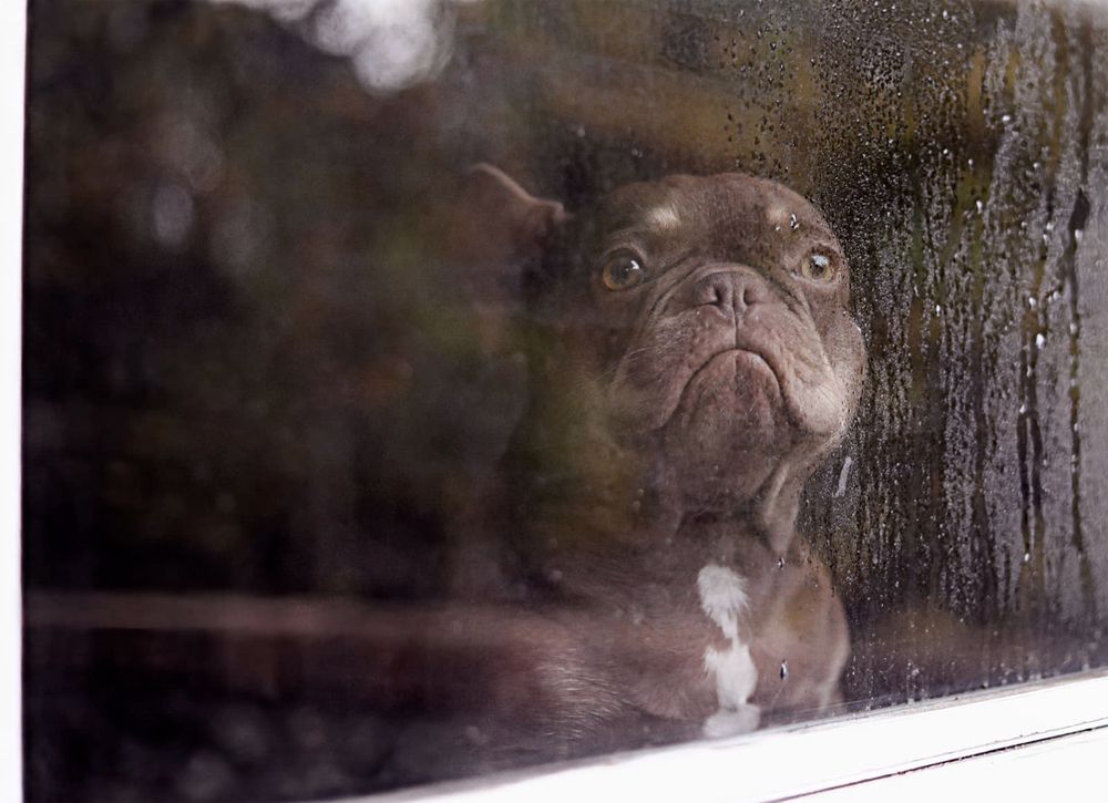 Rainy Day Mood.