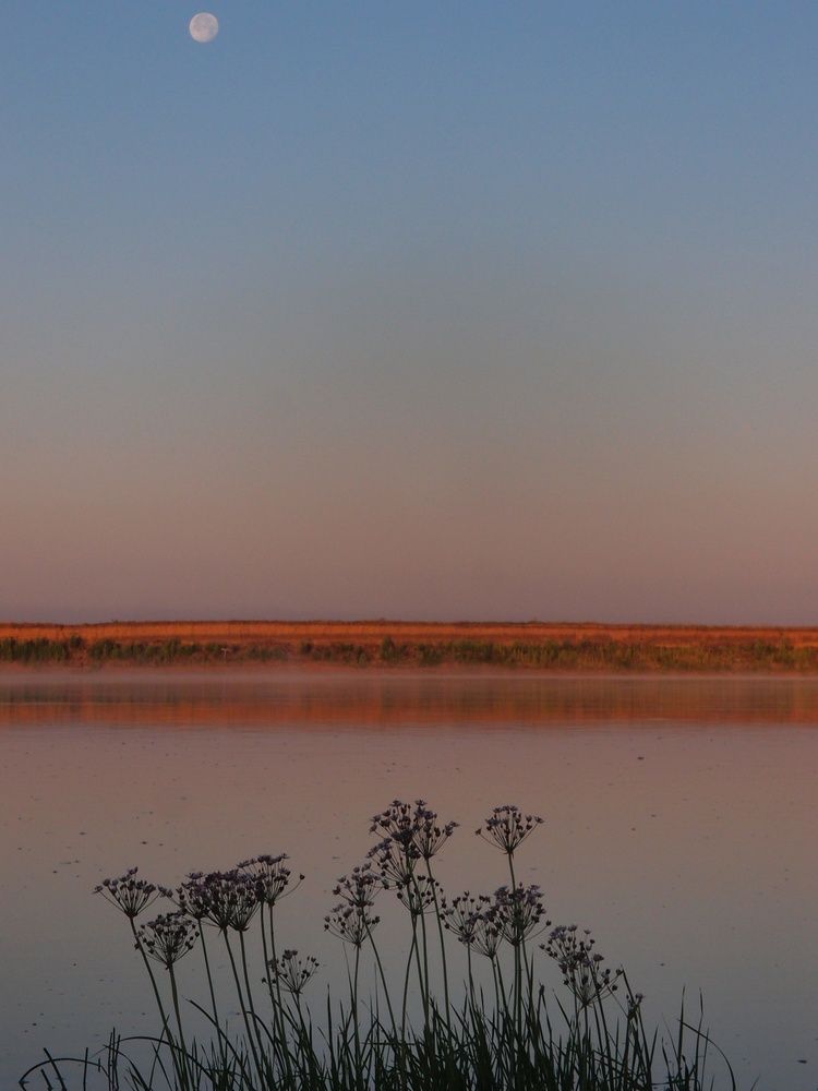 Photograph by Карпенко Александр