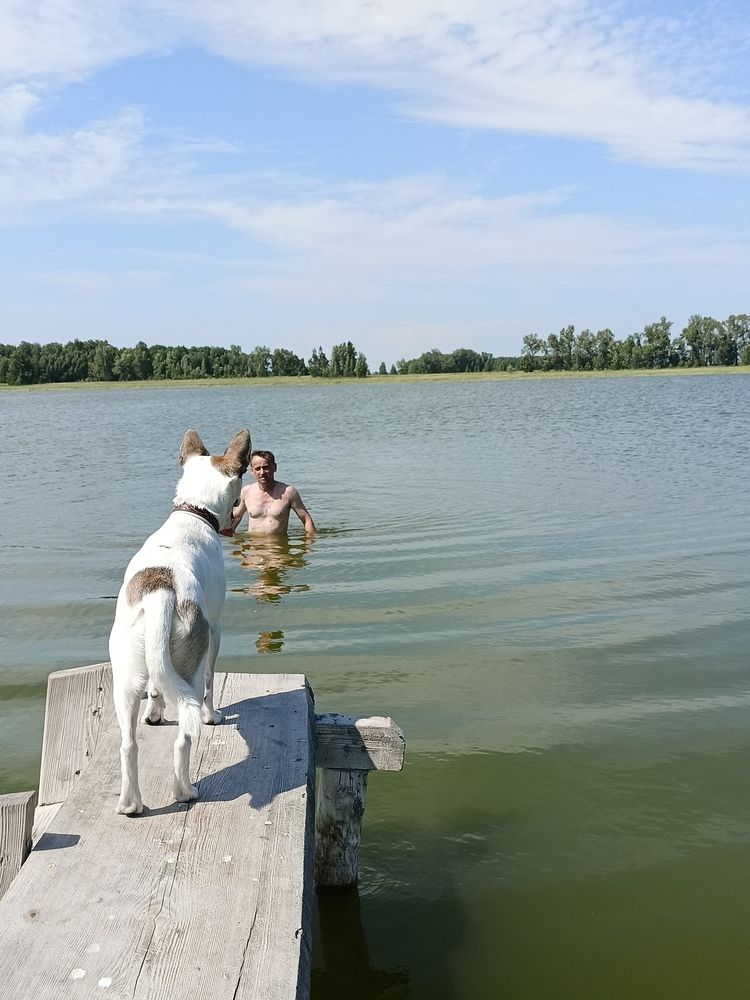 Photograph by Лариса Натальская