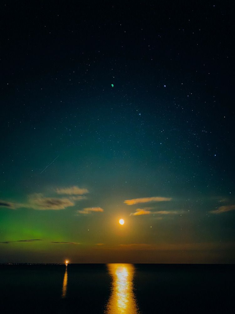 Photograph by Алиса Нежинская