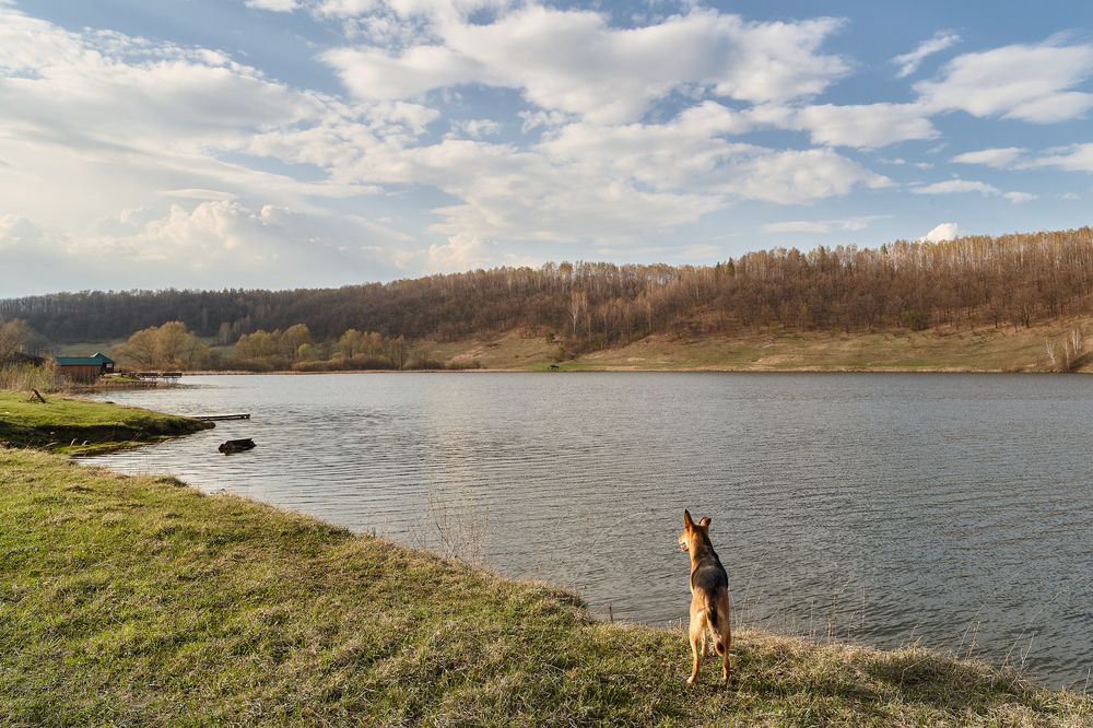 АПРЕЛЬСКИЕ ВИДЫ