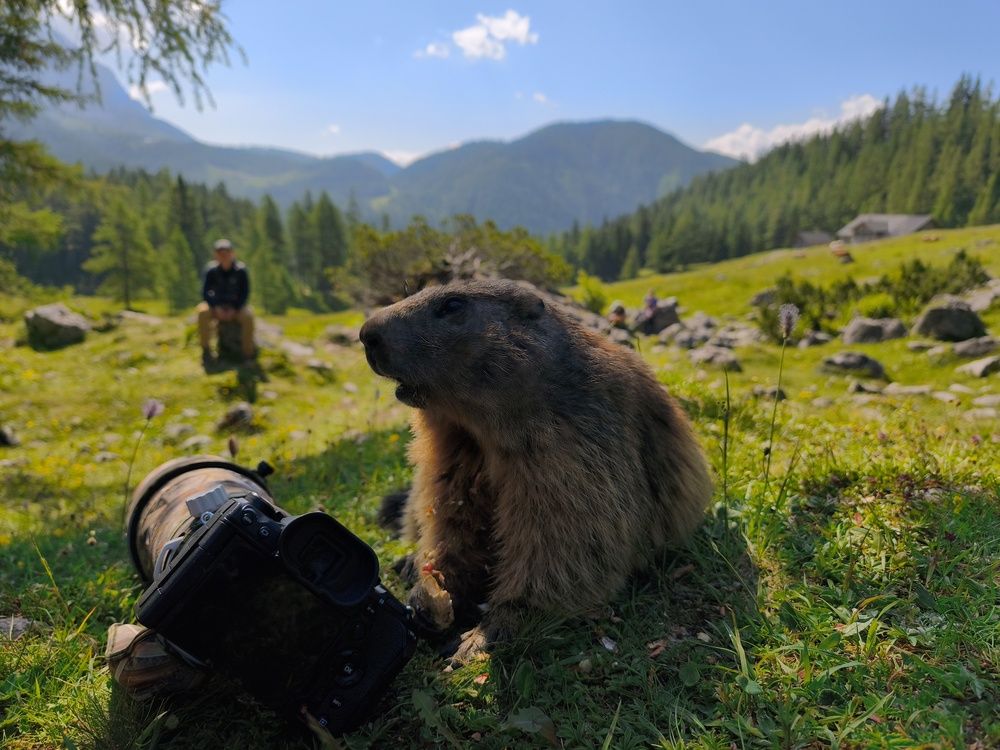 Фотография автора Daniela Retzer