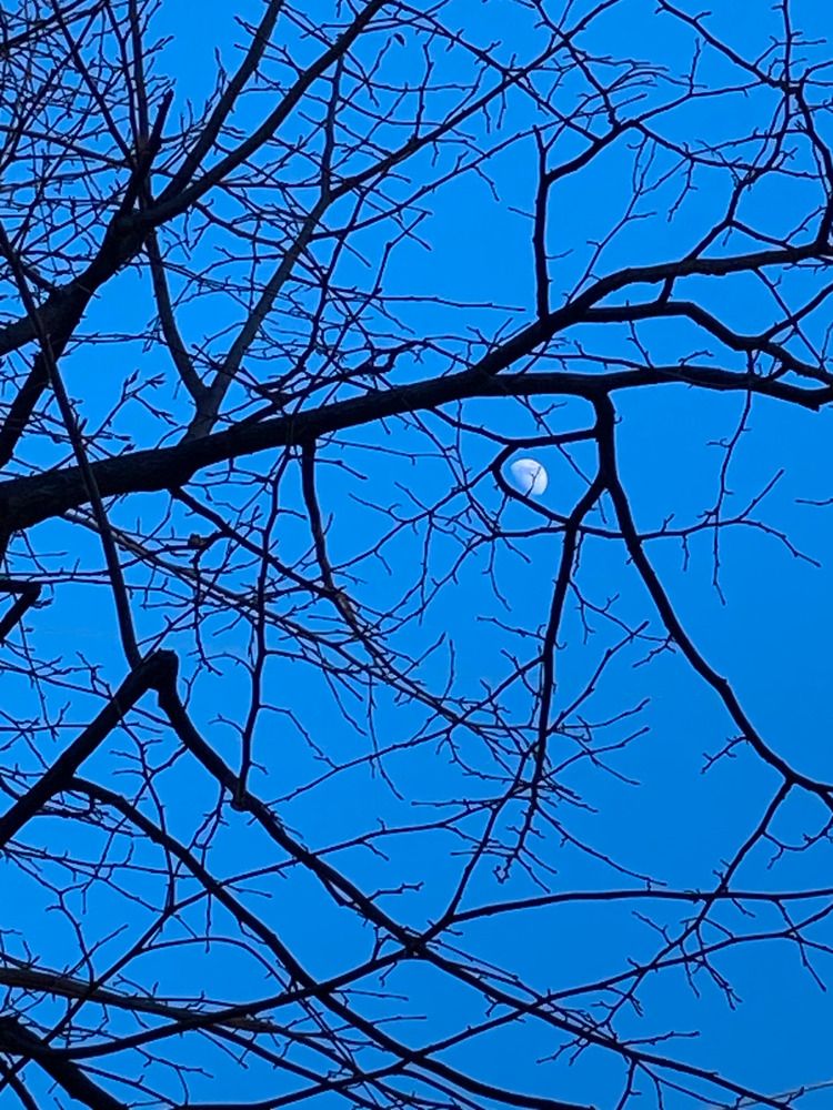 Фотография автора Сергей Демидов