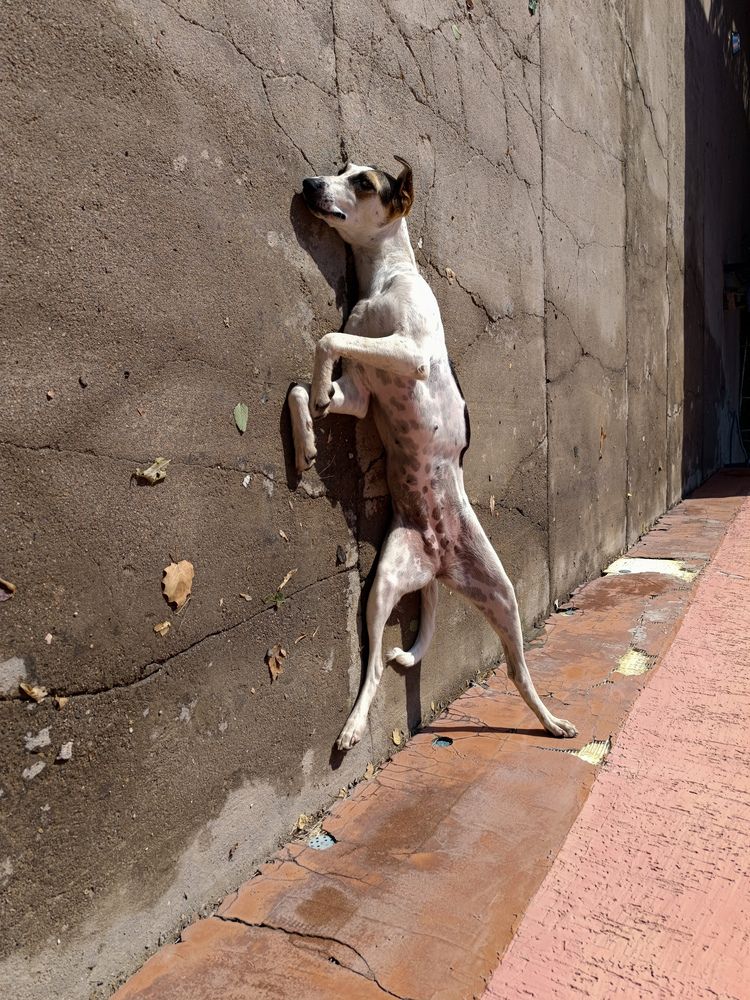 Фотография автора Владимир Ли