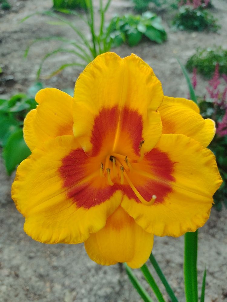 Photograph by Наталья Билай