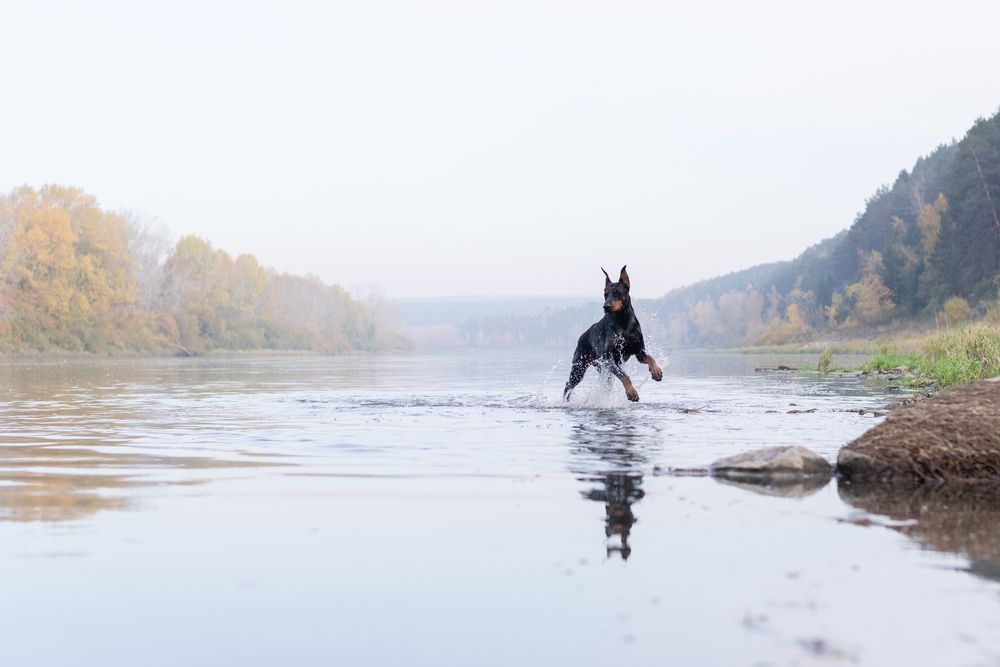 Photograph by Екатерина Полякова