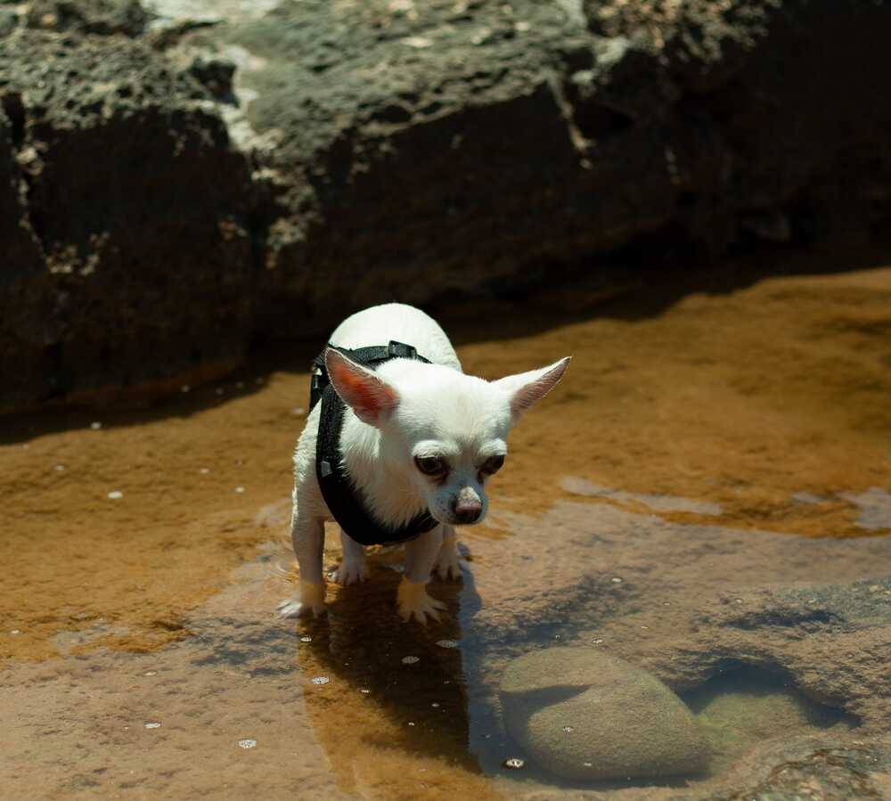 Photograph by Lada Tregubov