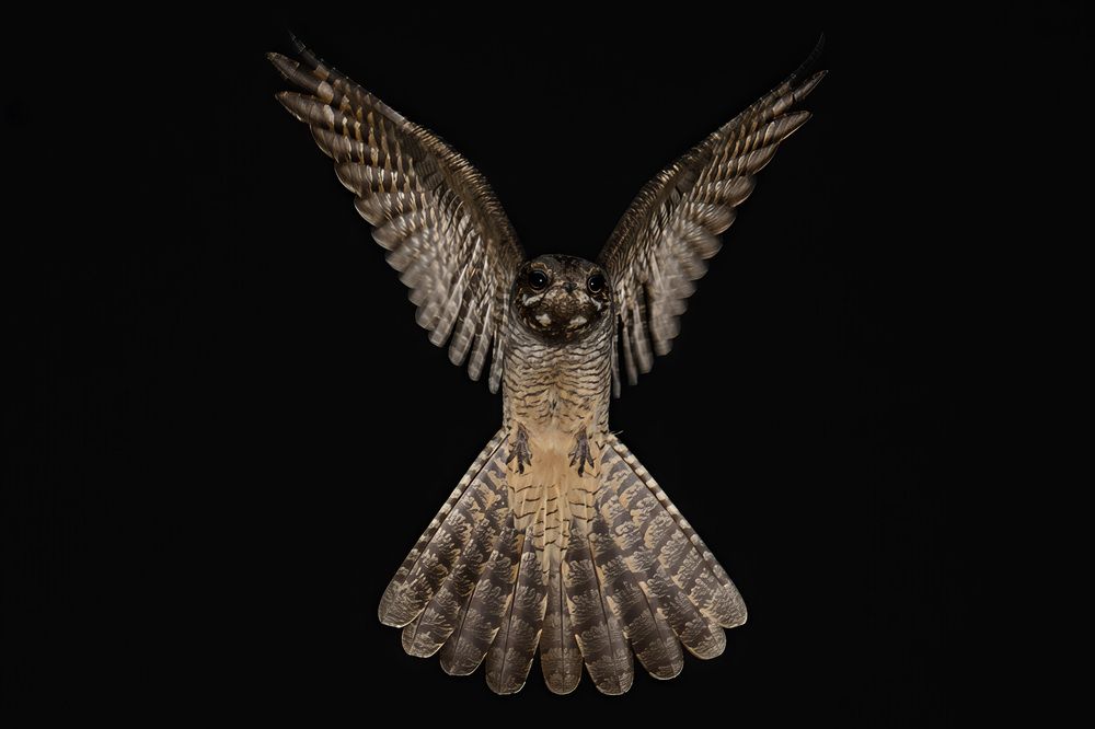 Photograph by Вячеслав Ладанов