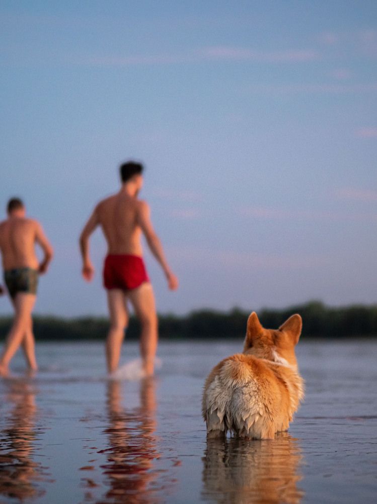 Фотография автора Доляна Горохова