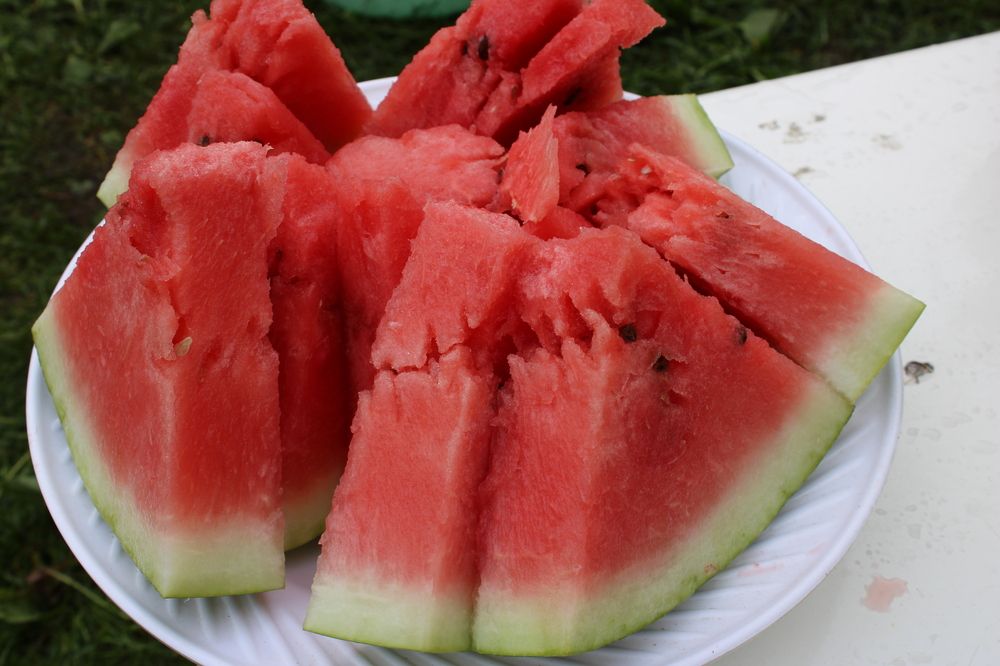 Photograph by Olga Bagaeva