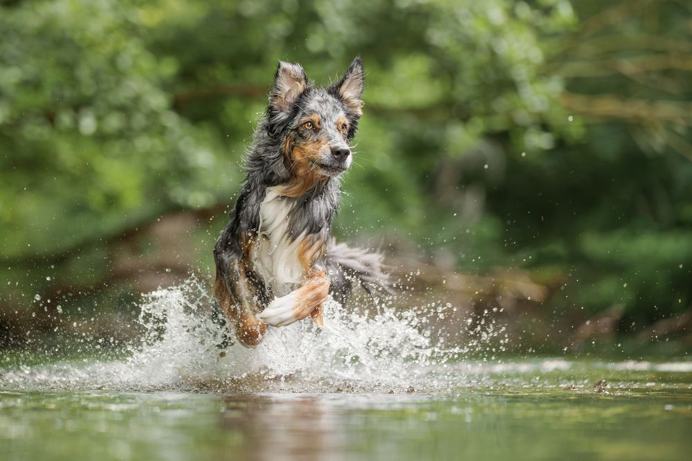 Photograph by Stephanie