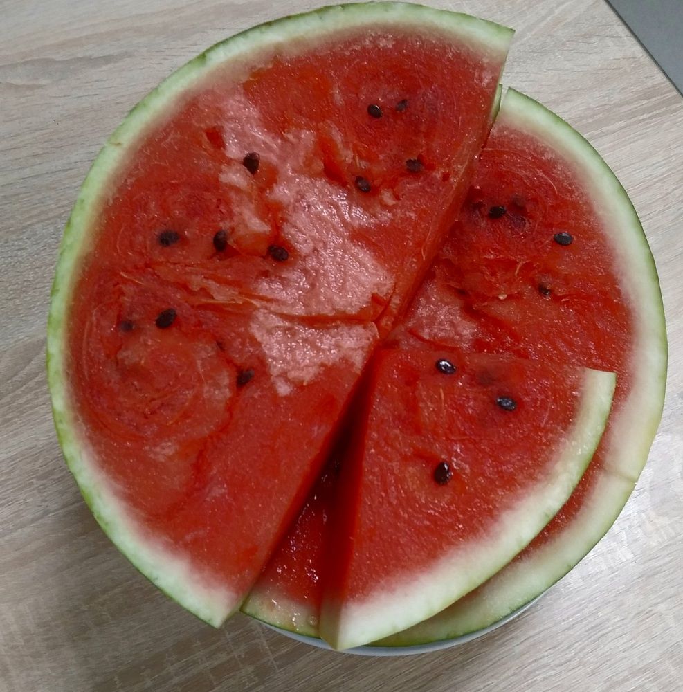 Photograph by Васильева Львовна