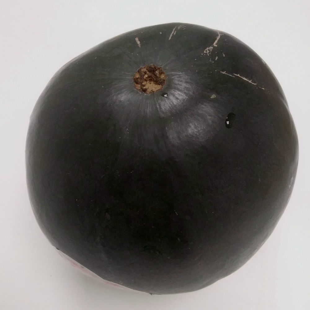 Photograph by Васильева Львовна