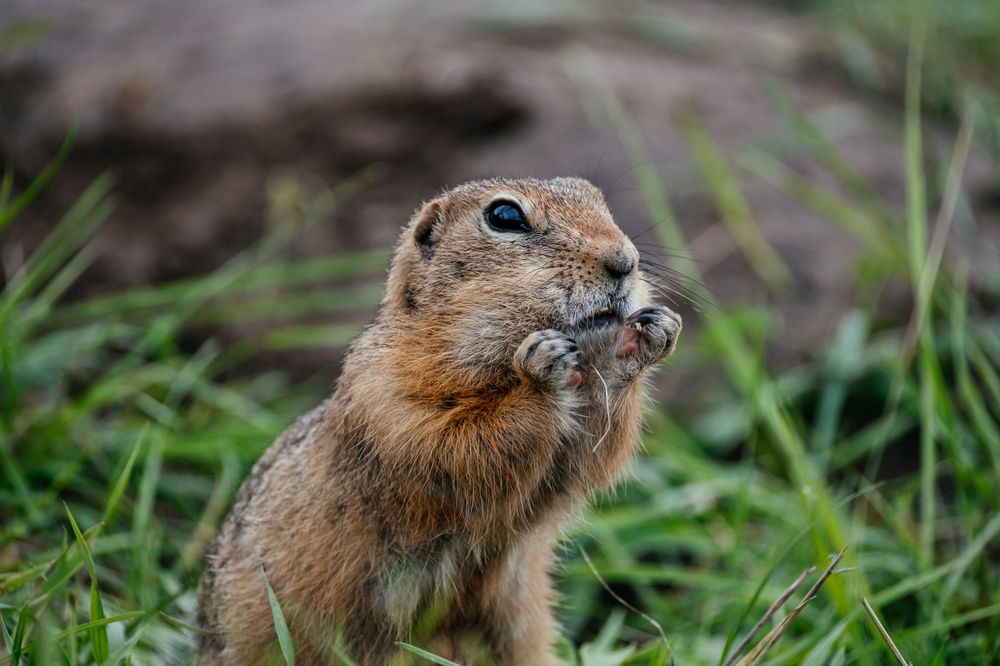 Photograph by Корчагина Оксана