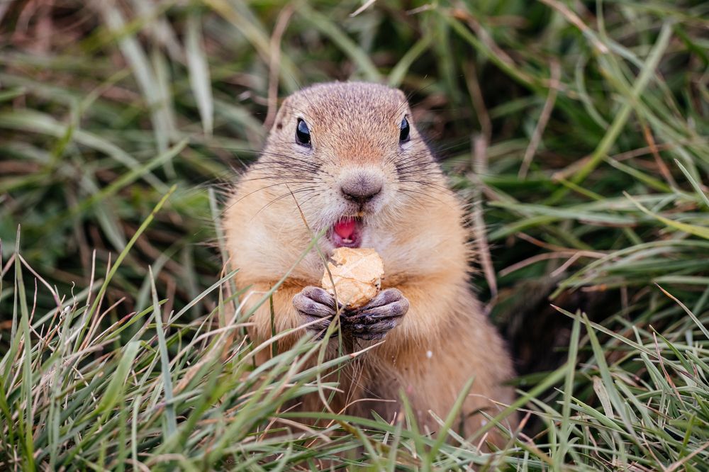 Photograph by Корчагина Оксана