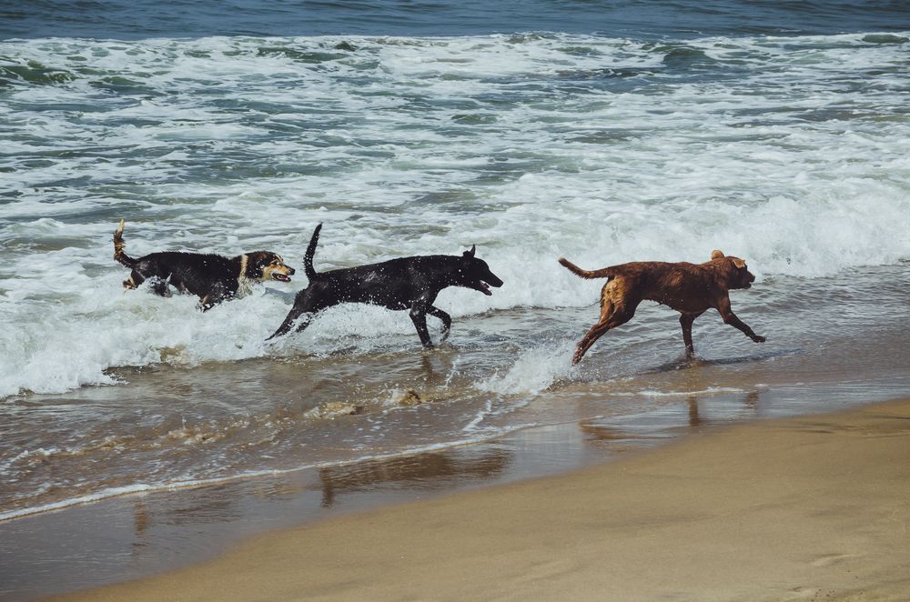 Photograph by Юлия Подлеснова