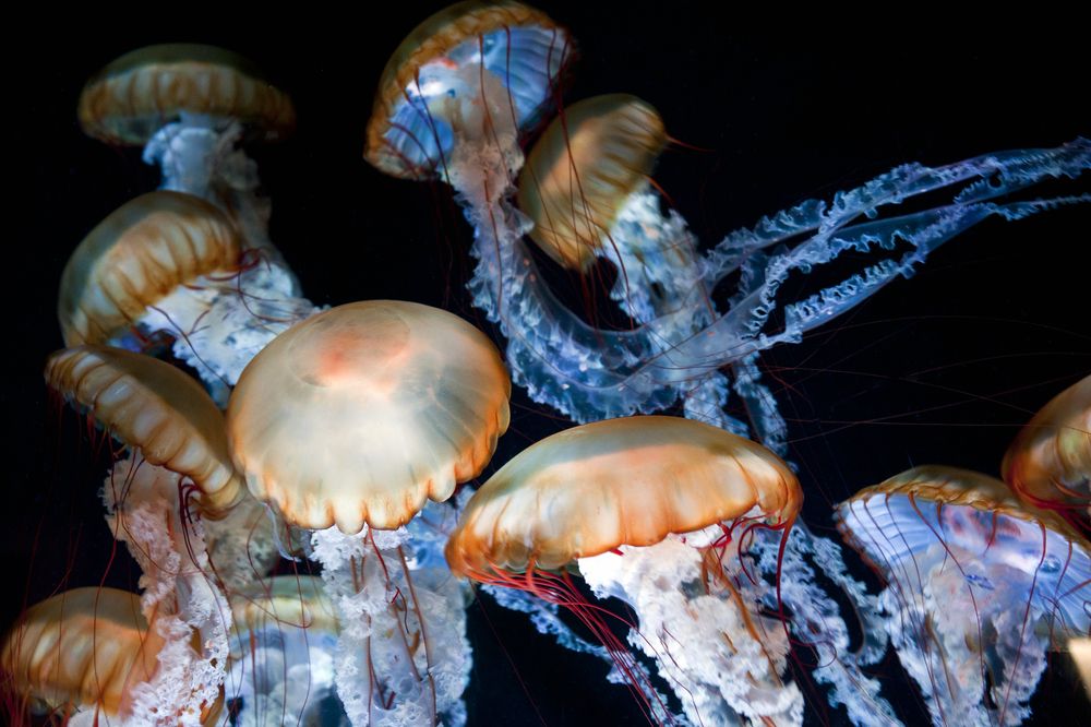 Photograph by Владимир Остапенко
