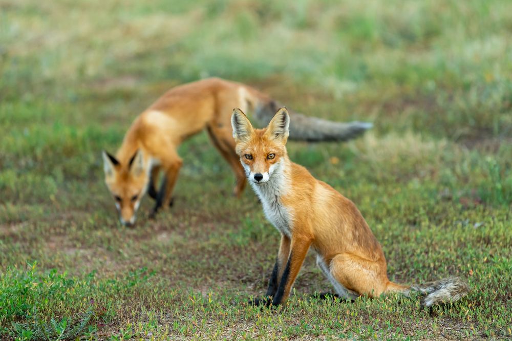 Photograph by Eliseev Nikolay