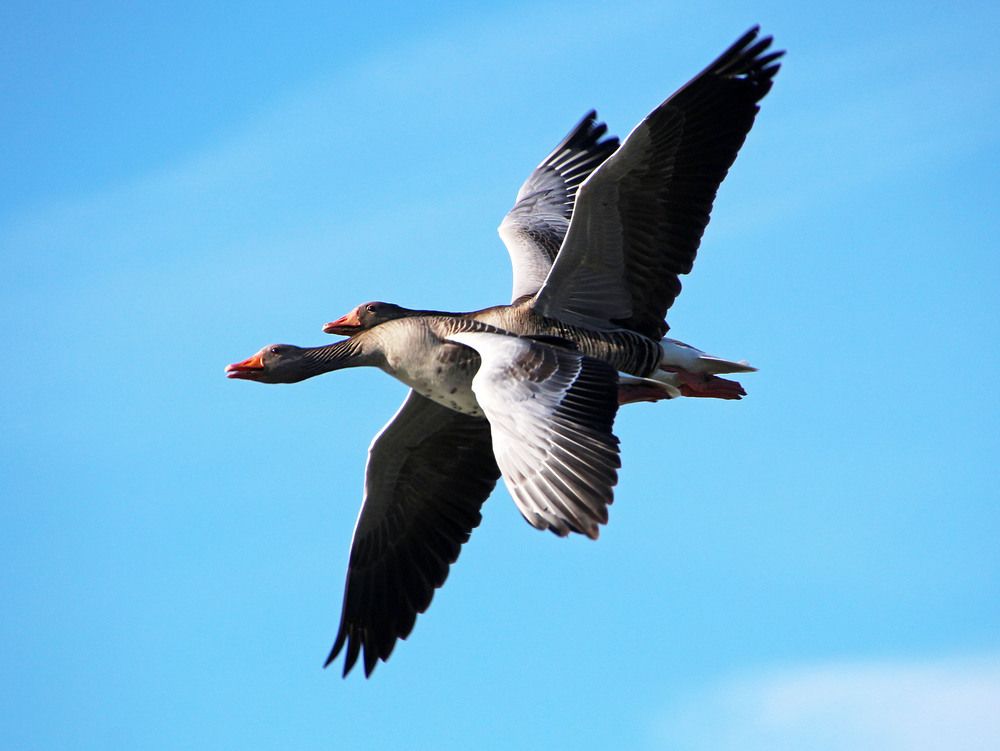 Фотография автора Александр