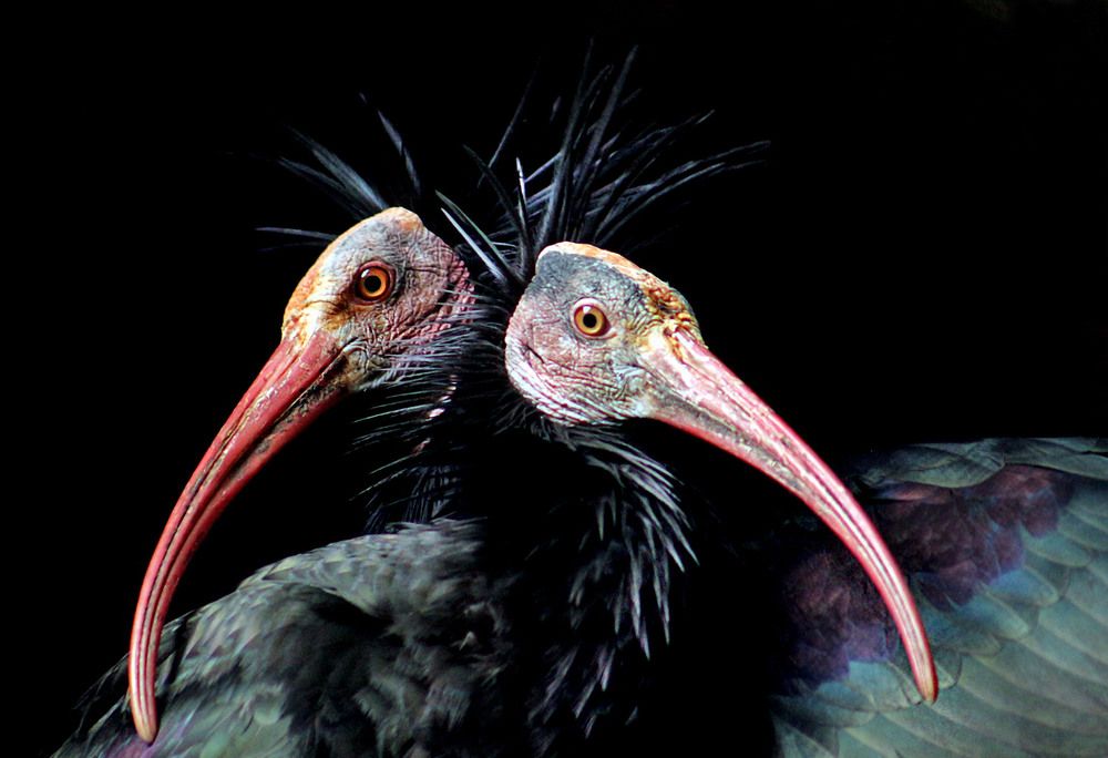 Photograph by Александр