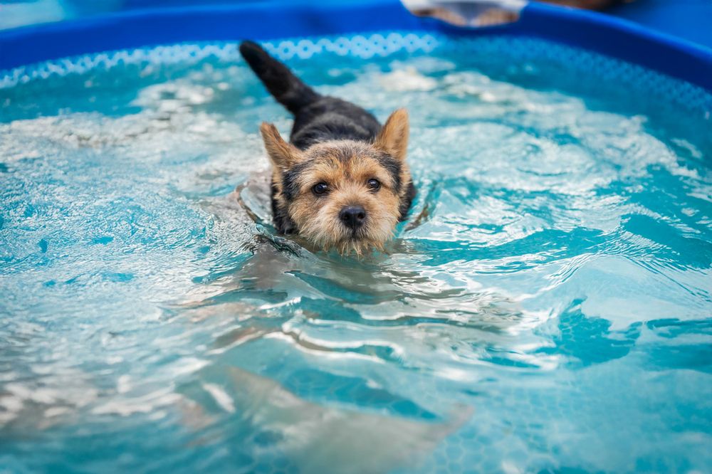 Фотография автора Анна Абрамова