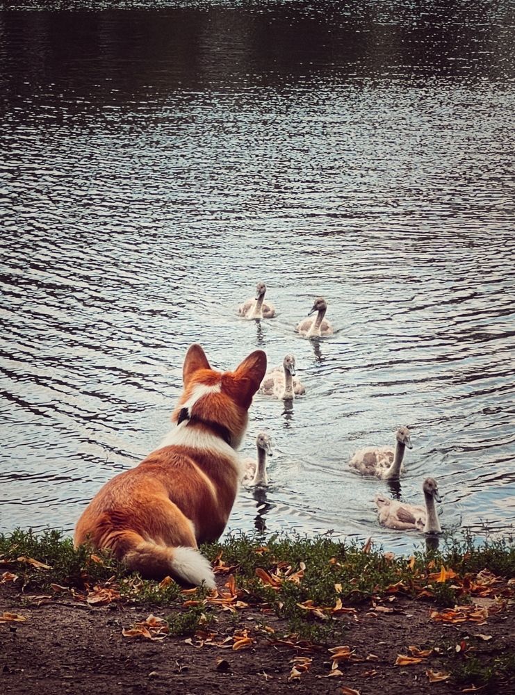 Photograph by Светлана Моисеева