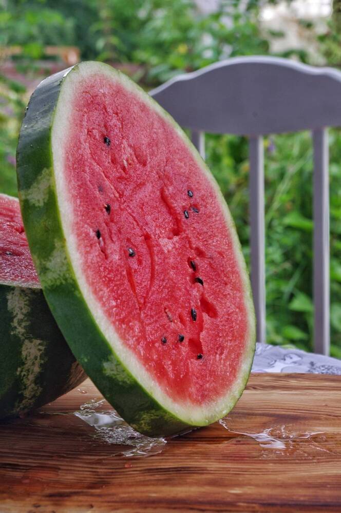 Фотография автора Вероника Пунгина