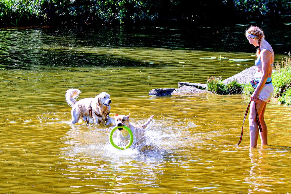 Photograph by Anatoly Lunov