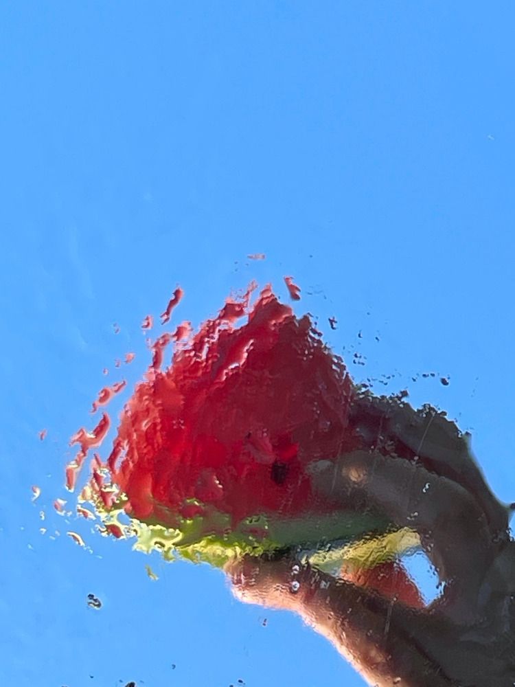 Photograph by Марина Мирошниченко