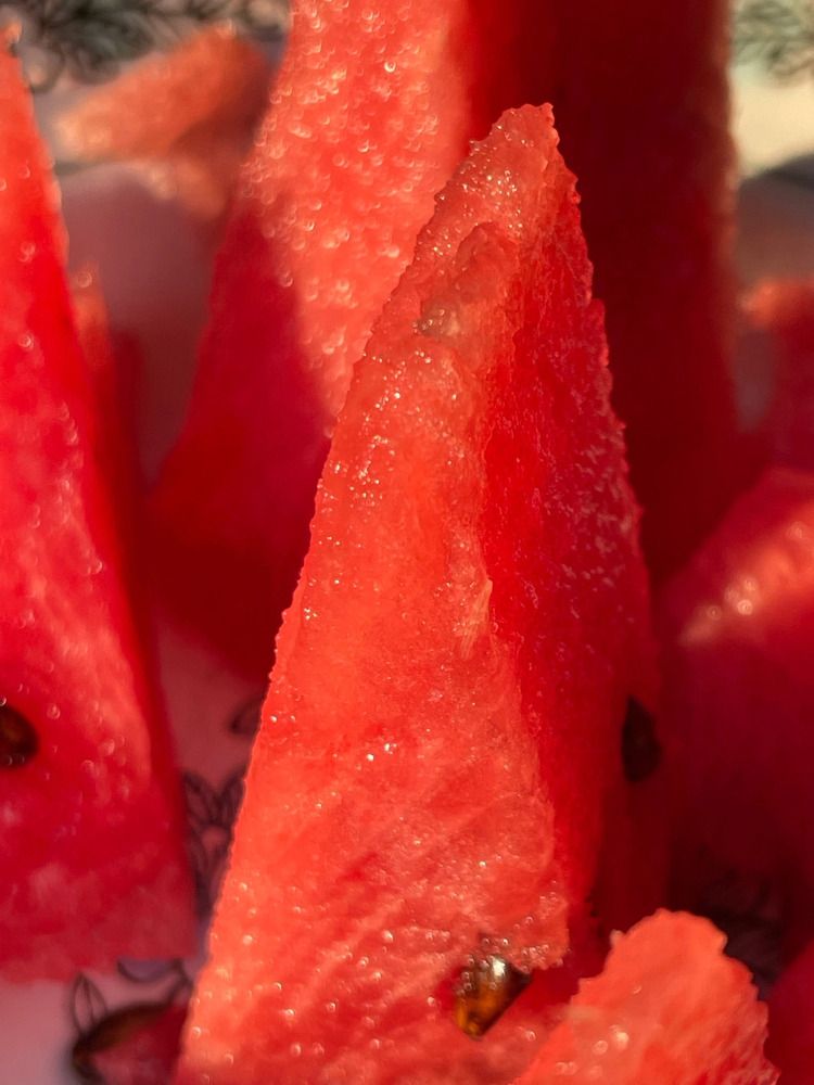 Photograph by Марина Мирошниченко