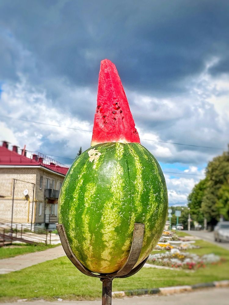 Photograph by Марина Мирошниченко