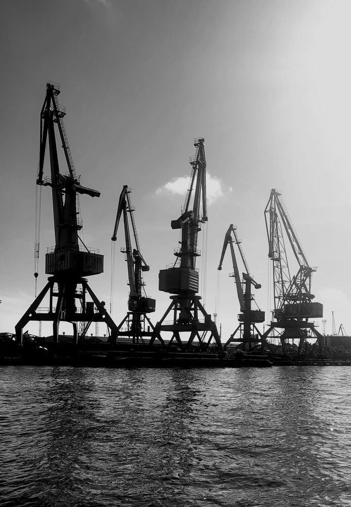 Photograph by Алла