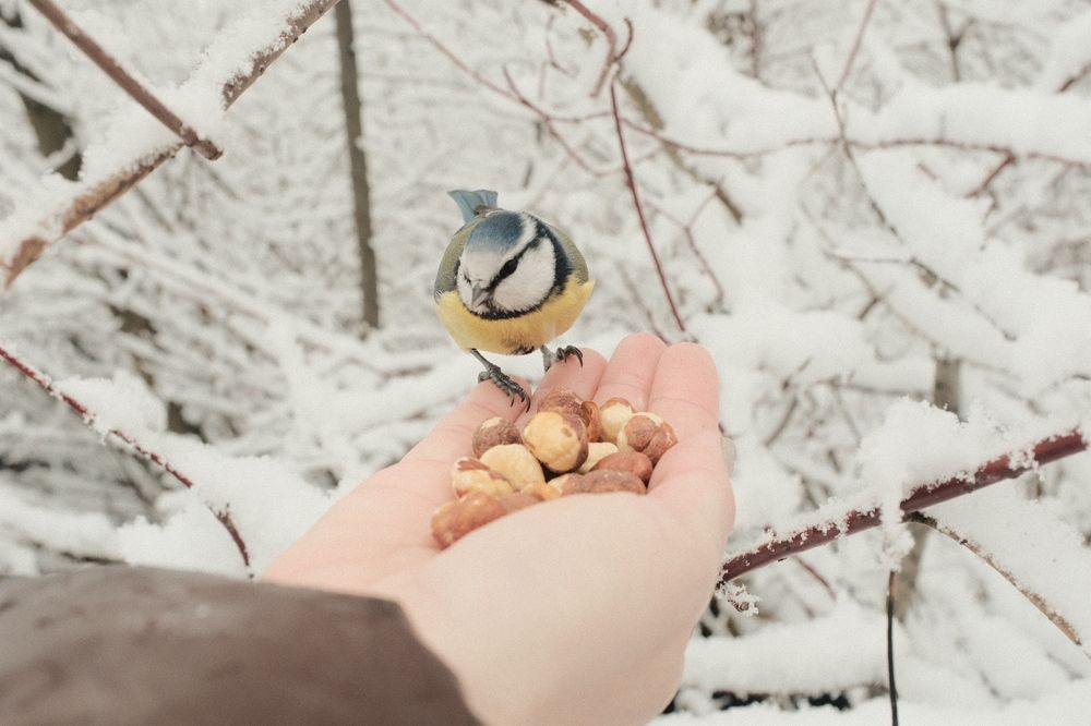 Photograph by Семен Батов