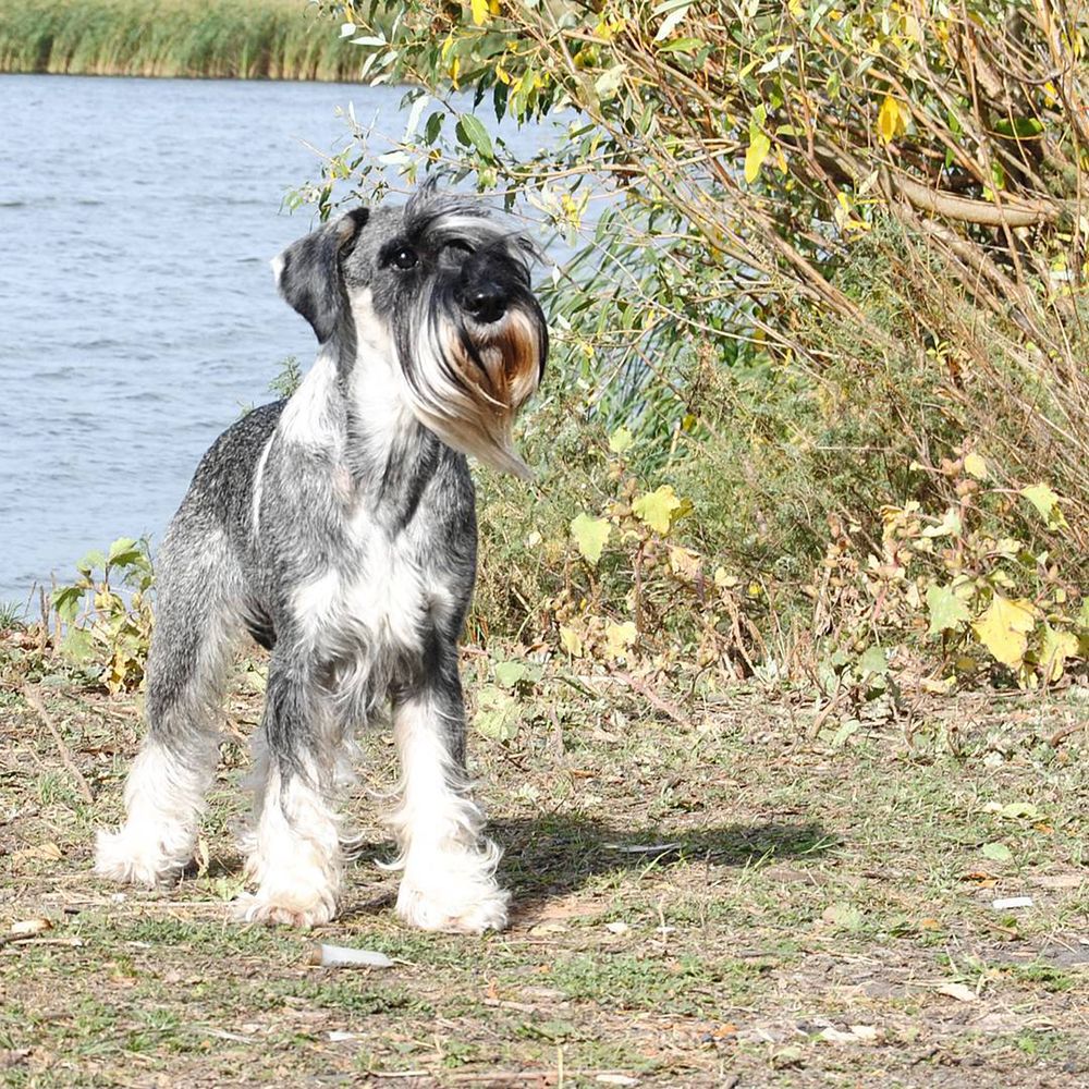 Photograph by Катерина Гущина