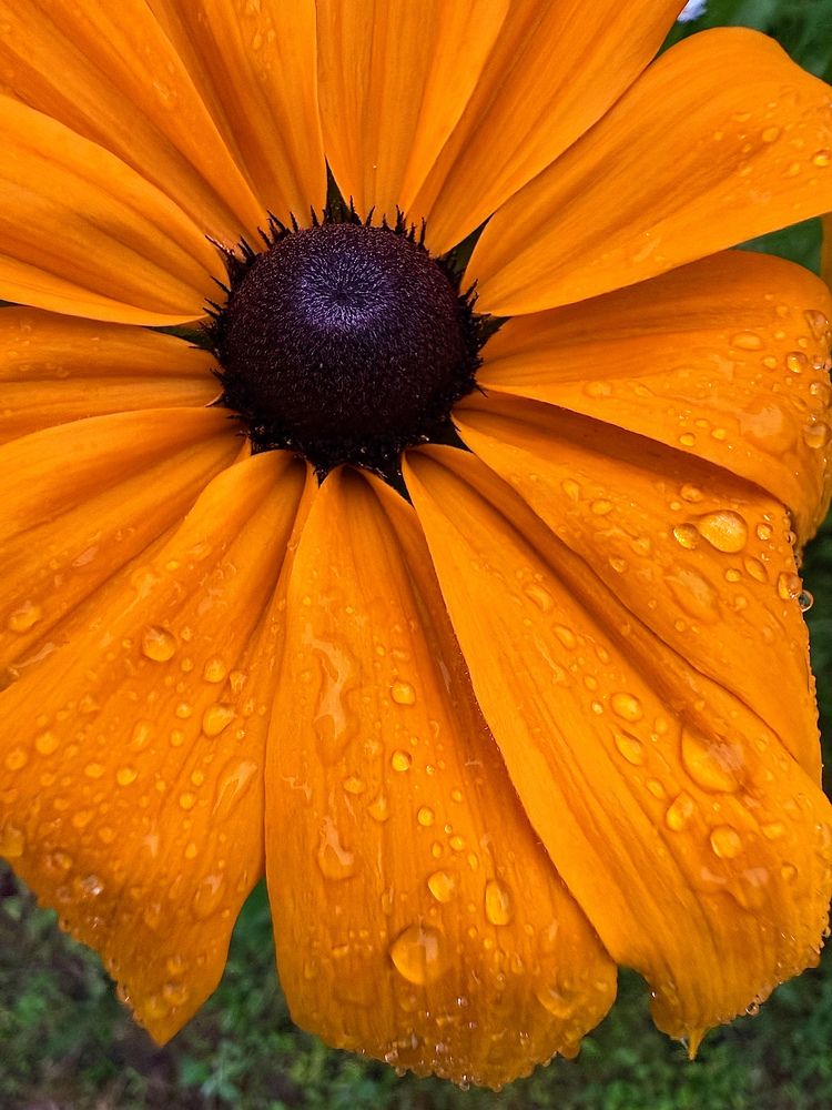 Photograph by Михаил Сорокин