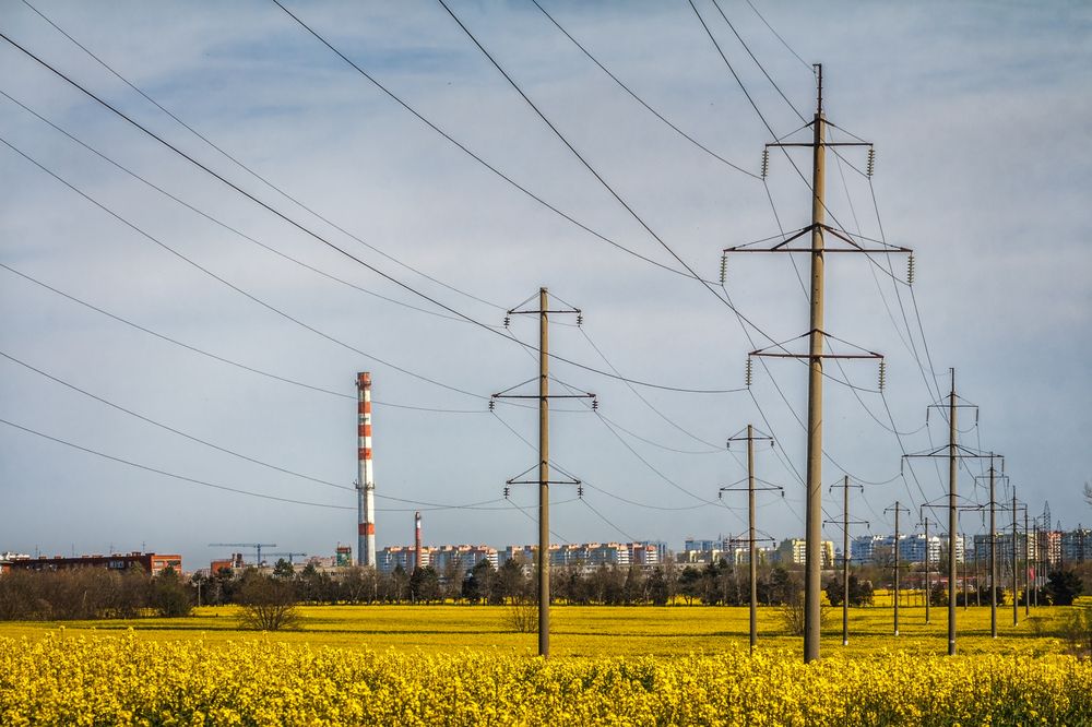 Фотография автора Галина Шепелева