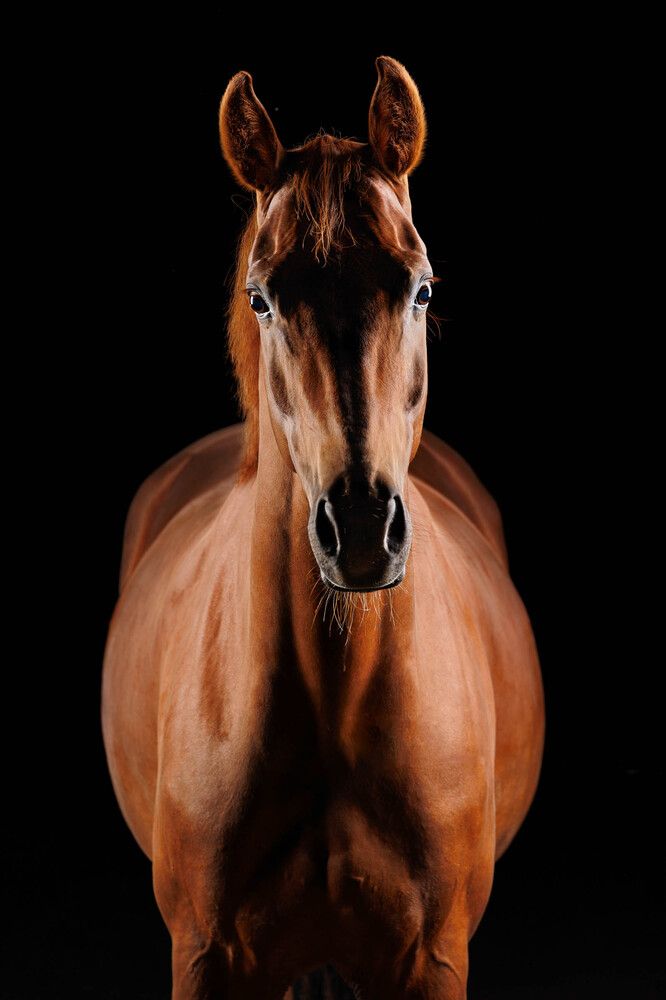 Photograph by Елена Гордиевская