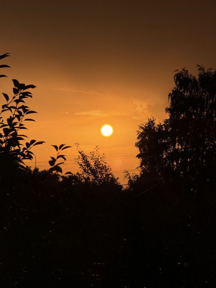 Photograph by Андрей Шабельников