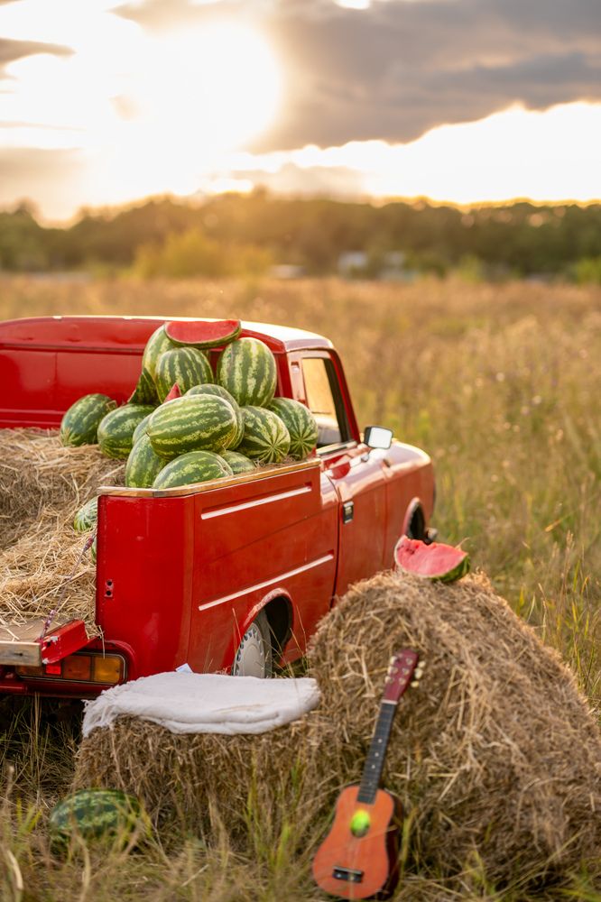 Photograph by Никита Ткачев