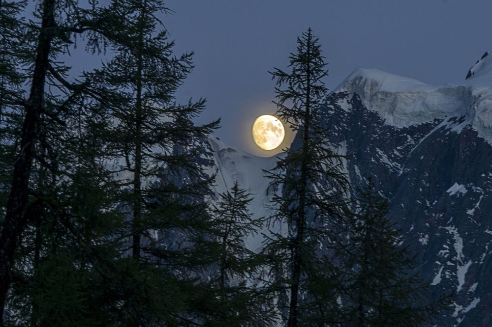 Photograph by Ксения Дудкина