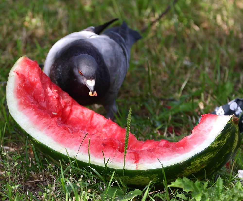 Photograph by Станислав Вершинин