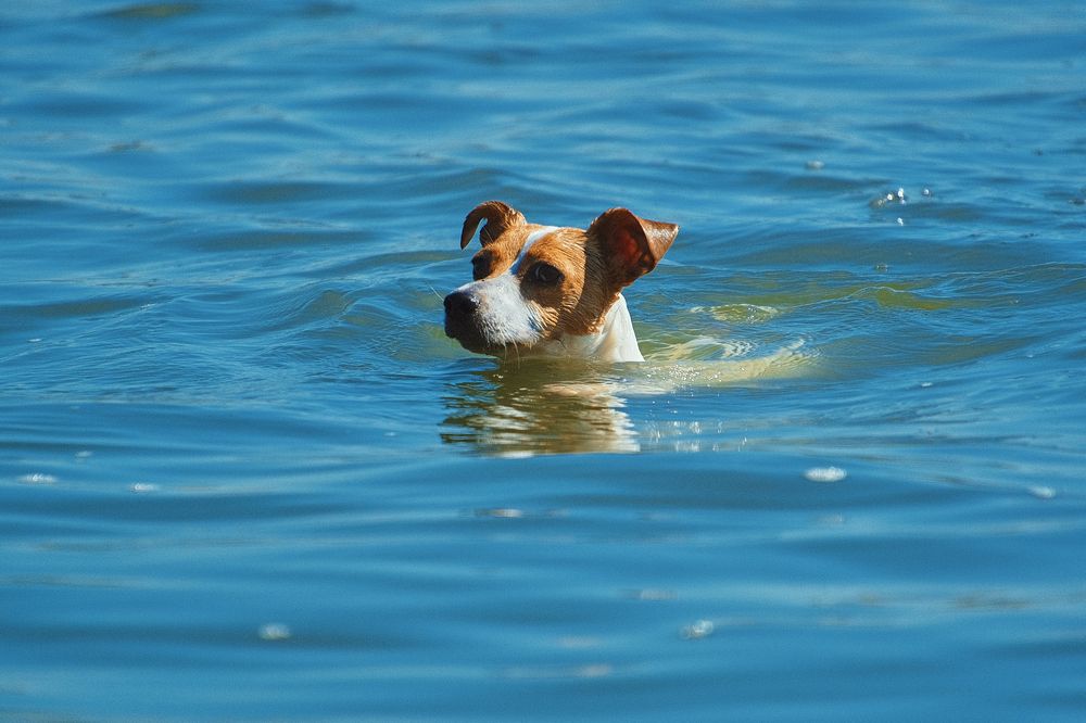 Photograph by Татьяна Михеева
