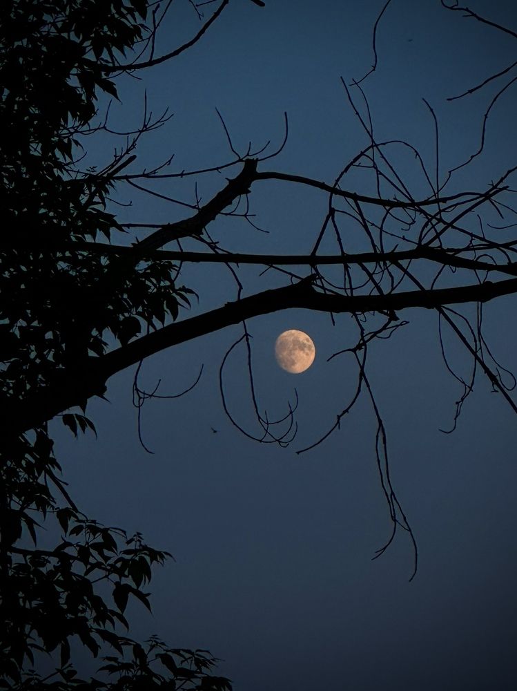 Photograph by Ксения Юртаева