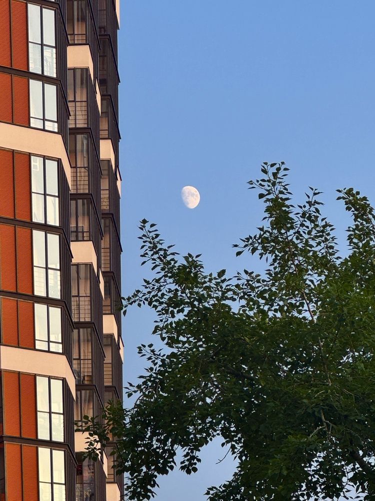 Photograph by Ксения Юртаева