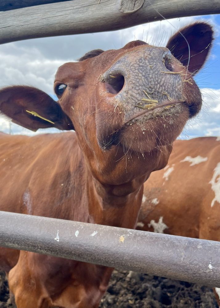 Photograph by Ольга Белоусова