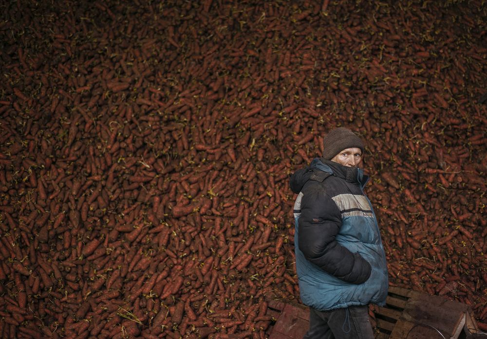 Хранитель морковного дворца