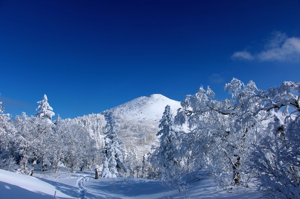 г. Пушкинская