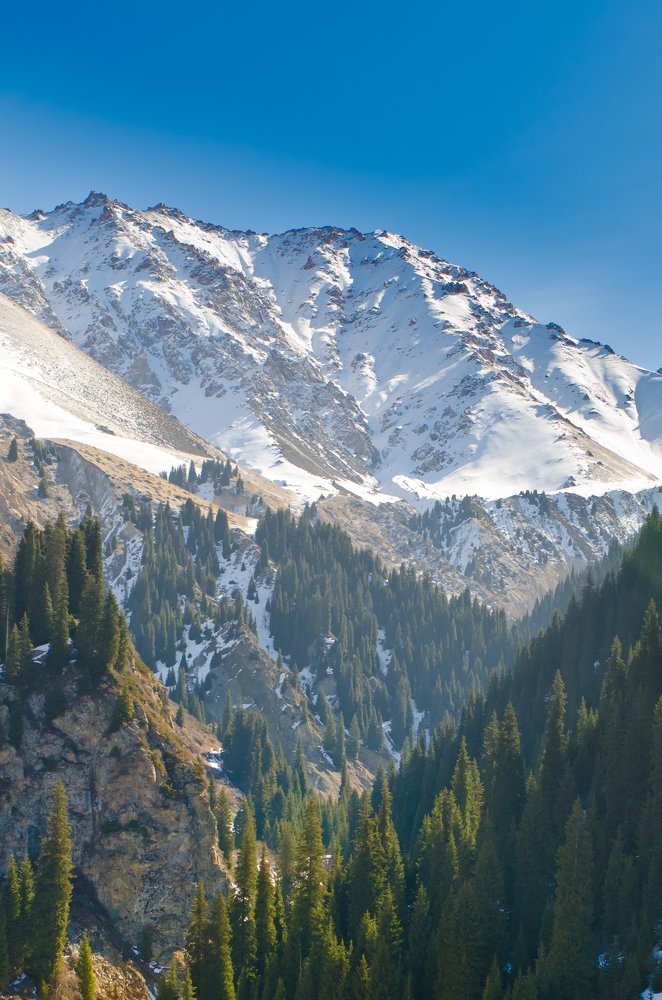 Весна в горах