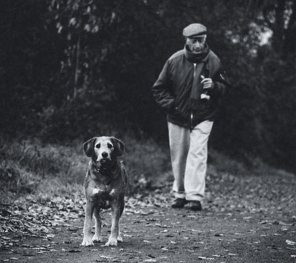 Лучший друг