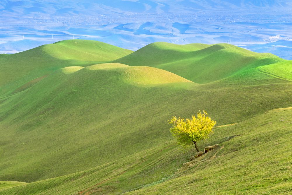 Океан за холмами